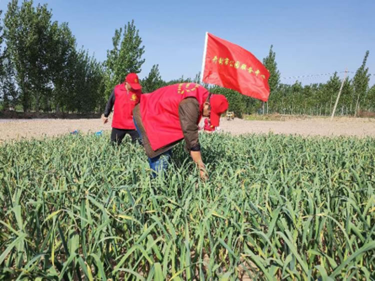 图片3.jpg