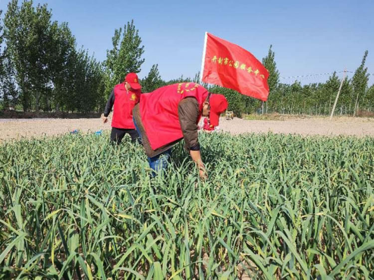 图片3.jpg