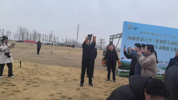 图片9.jpg