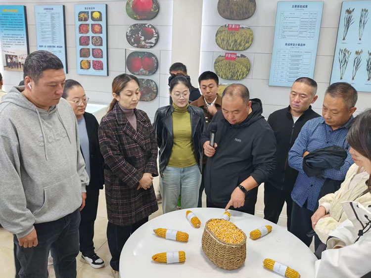 1760516424190270.jpg 图片5.jpg