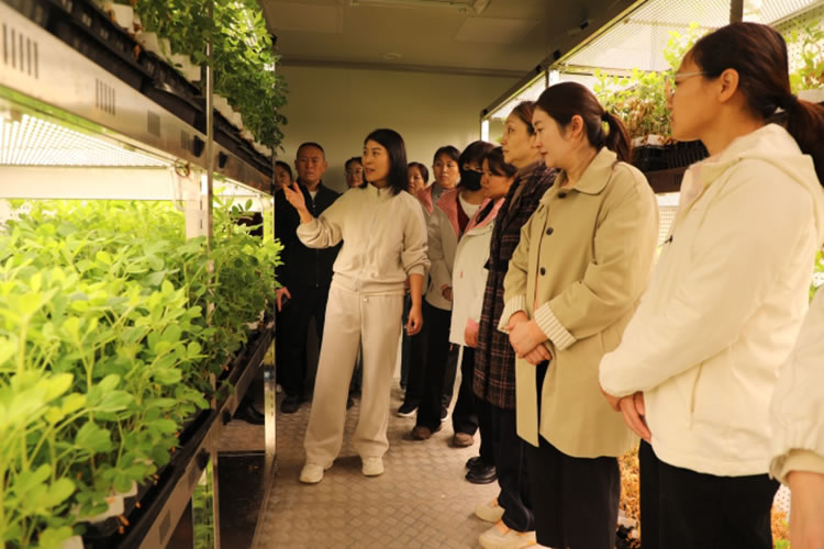 1760516446705103.jpg 图片1.jpg